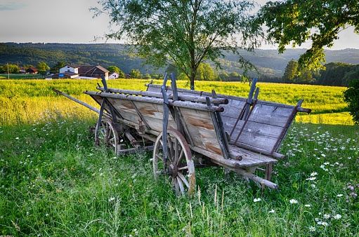 Old horse-drawn carriage in blumenwiese. In the background a large Wlad and farm