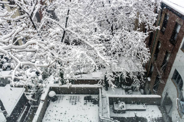 istock Snow in the City 885452310