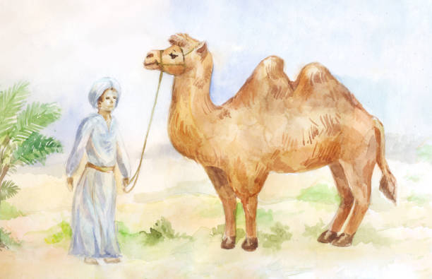 istock Watercolor illustration of camel and chasseur in desert 885452984