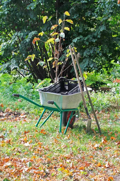 Photo of Wheelbarrow full of boxes and gardening tools