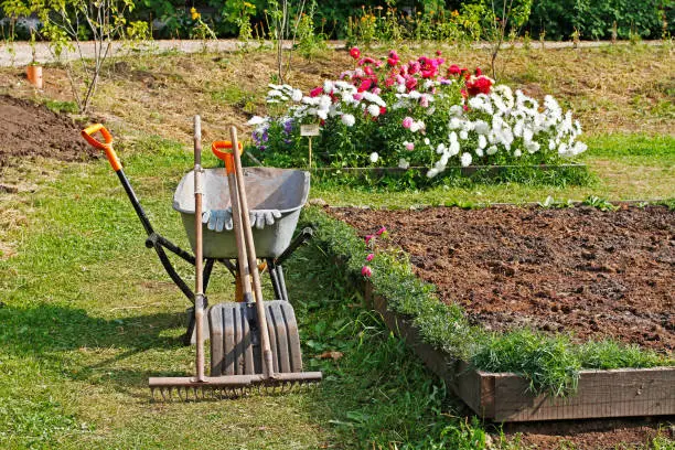 Photo of Wheelbarrow and gardening tools