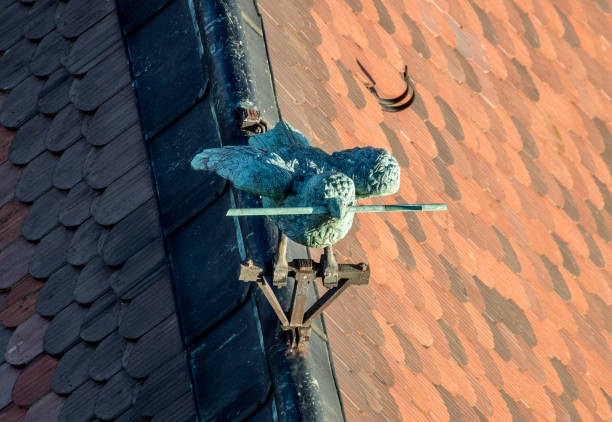 istock Ulmer Spatz, Sparrow of Ulm 885463856