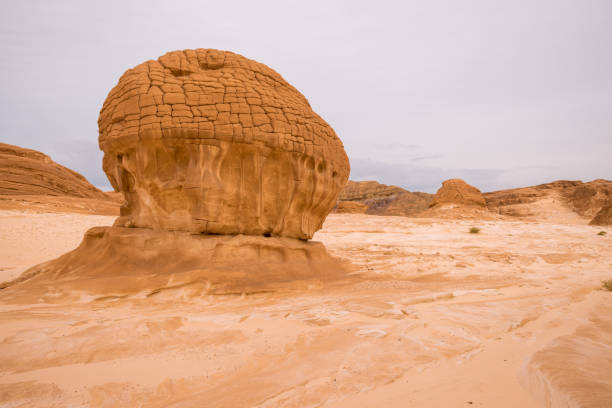 oro árido paisaje desértico sinaí, egipto - bizarre landscape sand blowing fotografías e imágenes de stock