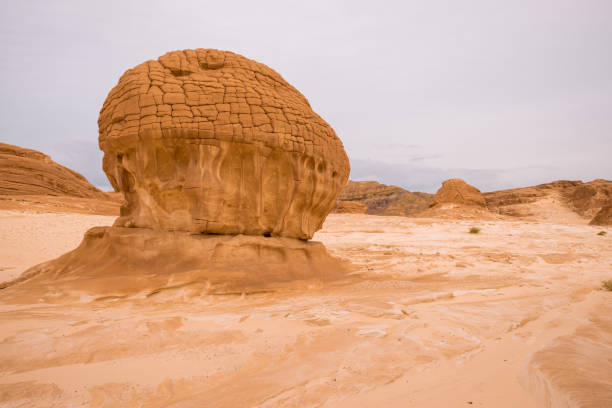 乾燥した砂漠の風景ゴールド シナイ、エジプト - bizarre landscape sand blowing ストックフォトと画像