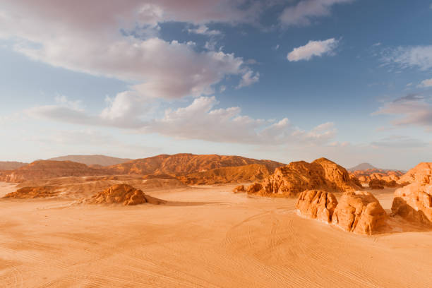 乾燥した砂漠の風景ゴールド シナイ、エジプト - bizarre landscape sand blowing ストックフォトと画像