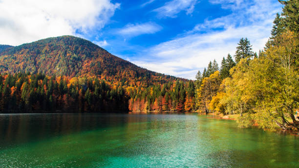 istock Autumn foliage at the alpine lake 885468866