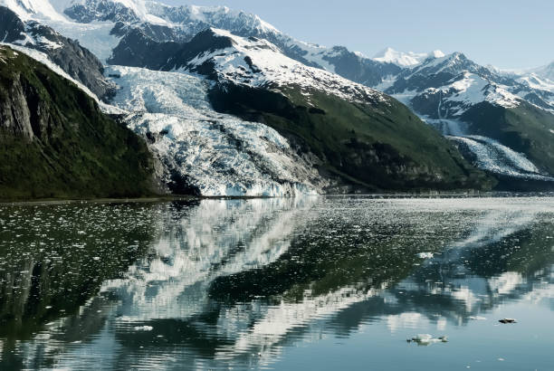 scenic landscape with glaciers flowing into the water at college fjords, prince william sound, alaska - prince of wales imagens e fotografias de stock
