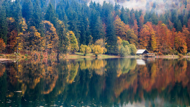 istock Autumn foliage at the alpine lake 885474402