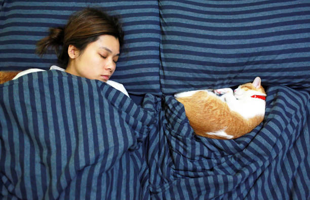 sueño de niña con su gato jengibre - domestic cat city life animal pets fotografías e imágenes de stock