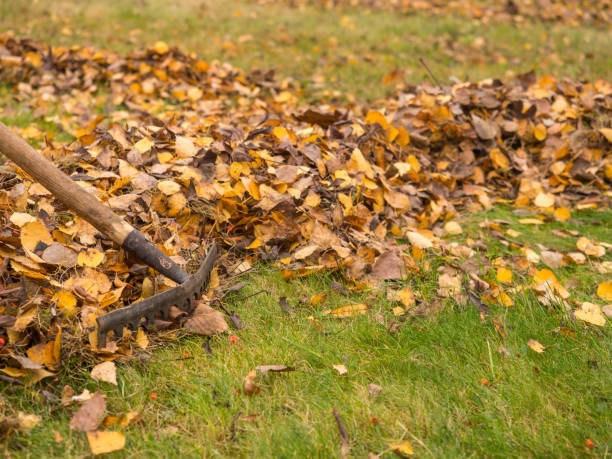 istock Garden autumn works 885485138