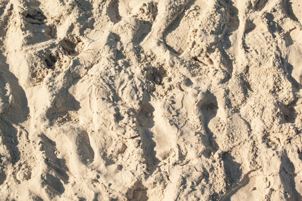 istock Lines in the sand of a beach (background) 885489362