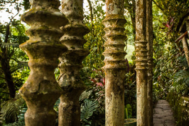 istock Xilitla ruins in Mexico 885492104
