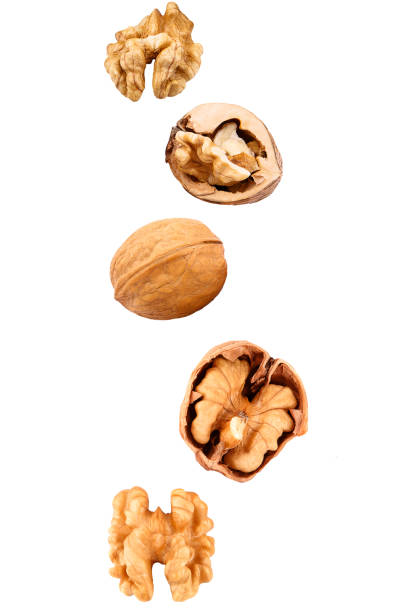 Falling walnuts on white stock photo