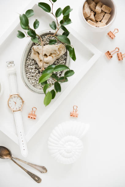 istock Stylish white table top, social media flat lay with plants 885515348
