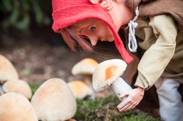 istock leprechaun for christmas decoration 885520532