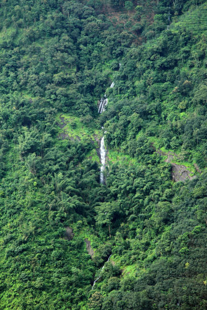 istock Long view of a waterfall in a mountain densely covered by trees 885522934