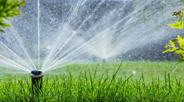 Photo of automatic sprinkler system watering the lawn on a background of green grass