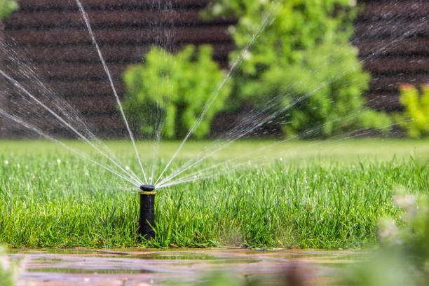istock automatic sprinkler system watering the lawn on a background of green grass 885533946