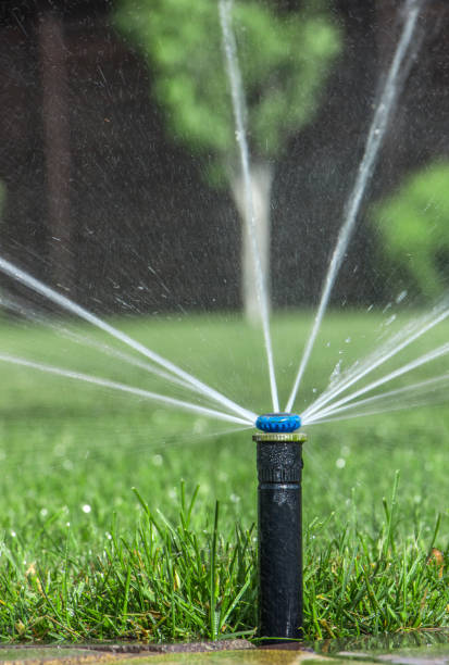 istock automatic sprinkler system watering the lawn on a background of green grass 885534064