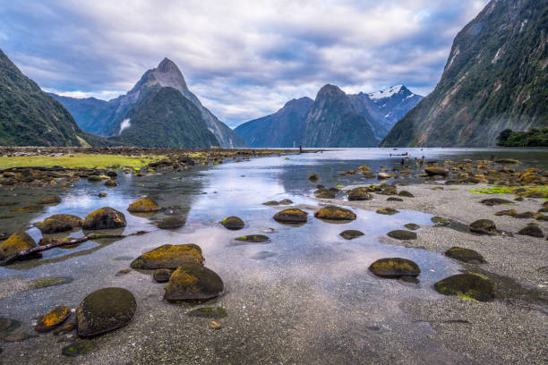 milford sound,  new zealand - te anau imagens e fotografias de stock