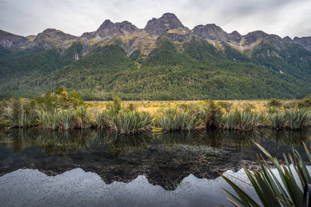 istock Mirror Lake, New Zealand 885542474