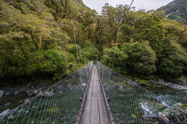 istock Track at Lake Marian fall, New Zealand 885548410