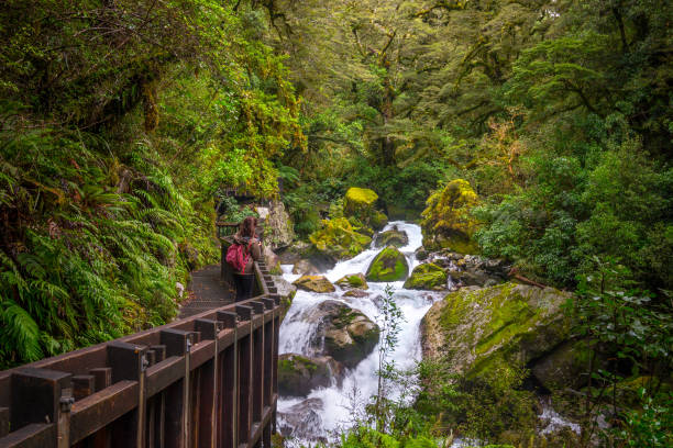 istock Lake Marian fall, New Zealand 885548586