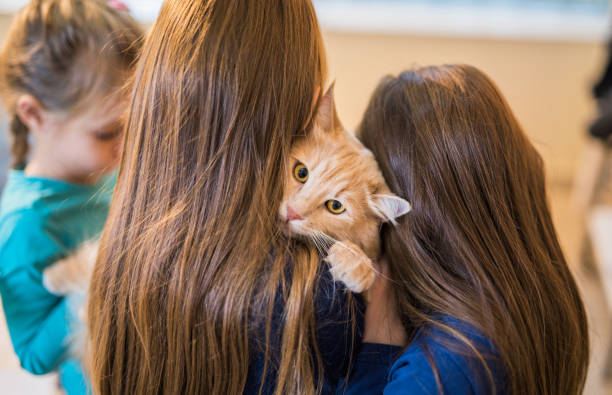 istock Three young girls hugging a beautiful Maine Coon cat. 885571230