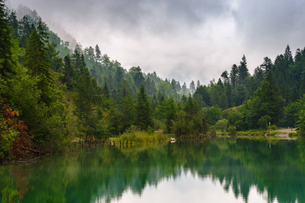 istock Archbach near Reutte on a cloudy and rainy day 885574838
