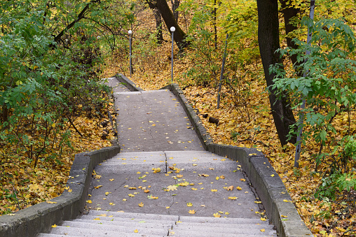 Uneven old stairs in autumn park covered with yellow leaves headed up copyspace horizontal