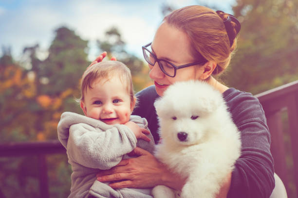 istock Family with samoyed puppy 885591778