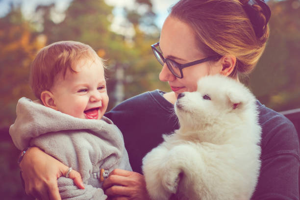 istock Family with samoyed puppy 885591784