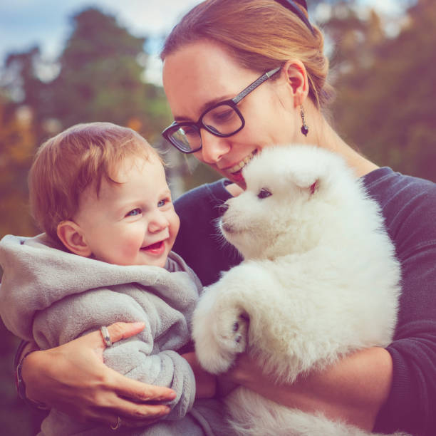 istock Family with samoyed puppy 885591796