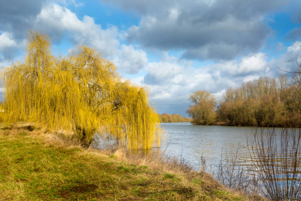 istock The pasture on the river welcomes spring 885599620