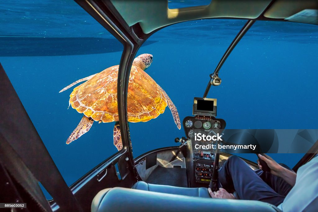 Sea Turtle submarine Underwater submarine ship following a marine green turtle, Chelonia mydas, swimming in blue water with copy space. Holidays and travel concept. Submarine Stock Photo