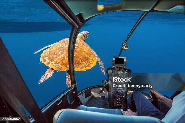 Sea Turtle Submarine Stock Photo - Download Image Now - Submarine, Caribbean, Turtle