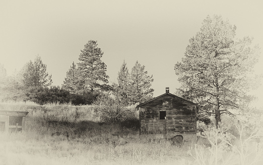A decrepit abandoned cabin in the old west of the USA