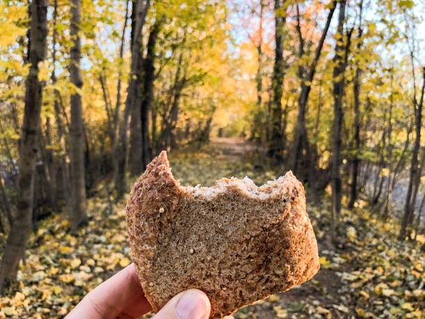 istock Whole wheat sandwich autumn nature trail 885631208