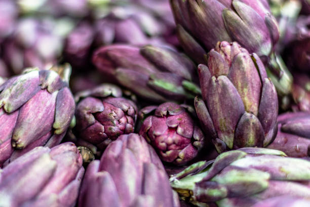 artichauts, exposés à la vente dans les stands de foire agricoles - purple artichoke photos et images de collection