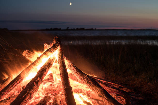 istock bonfire by the sea 885650848