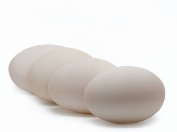 istock Closeup Duck eggs , healthy food 885662832