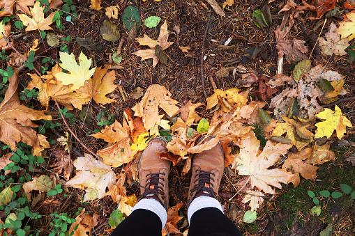 Hiking boots and fallen leaves.