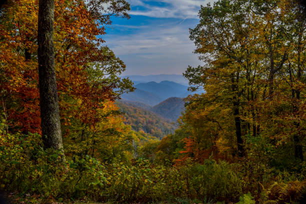 istock A View of the Mountains 885695630