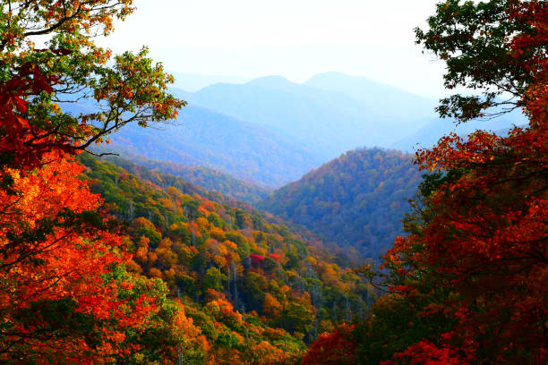 istock A View of the Mountains 885697824
