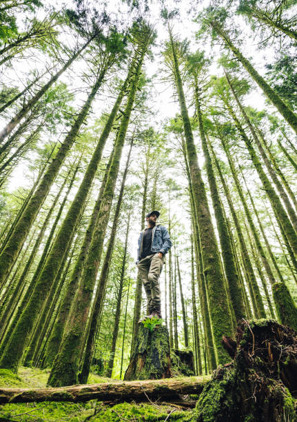 istock man hiking in british columbia 885712402