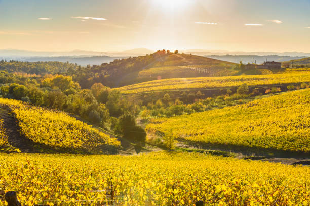 istock Autumn in Tuscany 885726228