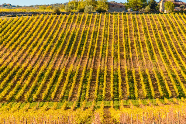 istock Autumn in Tuscany 885726352