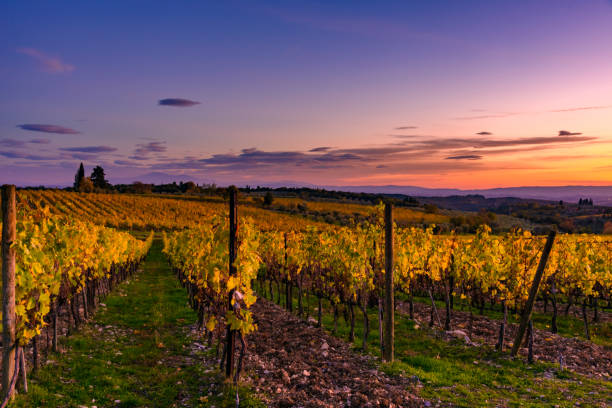 istock Tuscan landscape in autumn 885735706