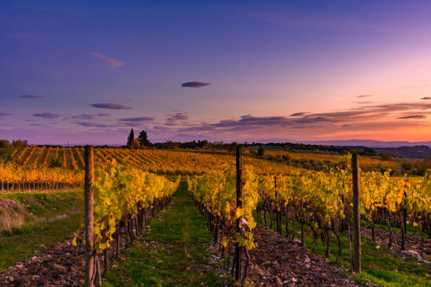 istock Tuscan landscape in autumn 885735744