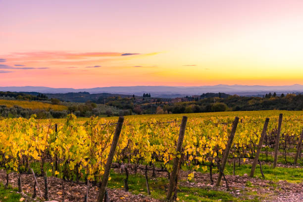 istock Tuscan landscape in autumn 885735772